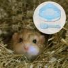ibasenice Hamster Bathroom view 3
