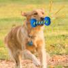 Dog Toy for Aggressive Chewers view 3