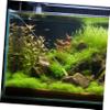 JECOMPRIS Double-Headed Aquarium Cleaning Brush view 2