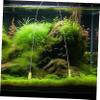JECOMPRIS Double-Headed Aquarium Cleaning Brush view 4