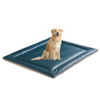 CMYCYDDPLY Dog Cooling Mat, Cooling Blanket for Pets, Wear- and Scratch-Resistant (Blue, 35 x 50 cm)