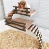 Hamster Wooden Climbing Platform and Apple Wood Chew Toy view 2