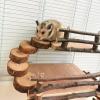 Hamster Wooden Climbing Platform and Apple Wood Chew Toy view 4