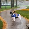 Dog Life Jacket view 3