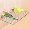 Stainless Steel Bird Perch Platform view 3