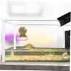 Mipcase Reptile Water Bowl view 4