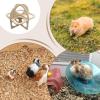 Hamster House – Wooden Hideout for Small Animals view 4