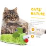 INOOMP Plush Cat Toy with Catnip view 4