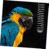 INOOMP Stainless Steel Parrot Feeder view 2
