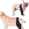 Pet Recovery Sleeve for Dogs - Thigh and Knee Support view 3