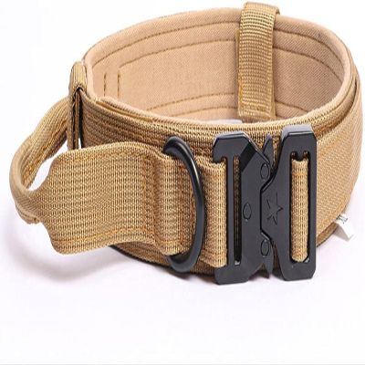 Tactical Nylon Dog Collar with Handle