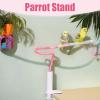 Bird Perch Stand with Bell - Colorful Non-Slip Training Toy for Small Birds view 3