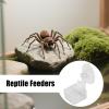 Reptile Feeding Bowl with Suction Cup view 2