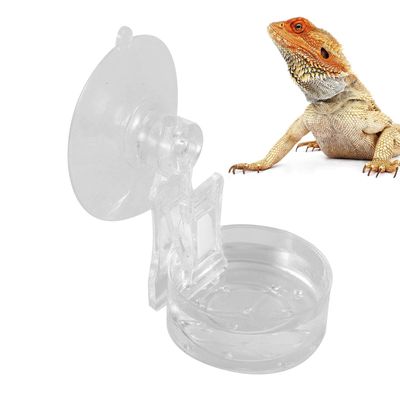 Reptile Feeding Bowl with Suction Cup