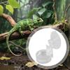 Reptile Feeding Bowl with Suction Cup view 3
