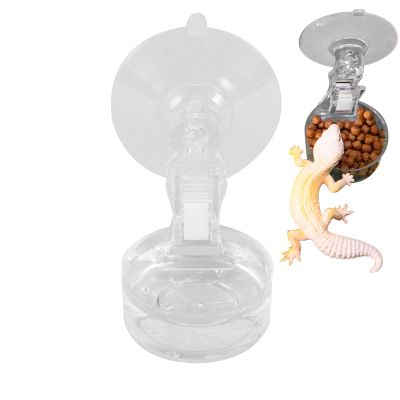 Chameleon Reptile Feeder Bowl with Suction Cup