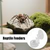 Chameleon Reptile Feeder Bowl with Suction Cup view 2