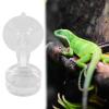 Chameleon Reptile Feeder Bowl with Suction Cup view 3