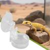 Chameleon Food Bowl with Suction Cup view 2