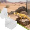 Reptile Feeder Bowl with Suction Cup view 2