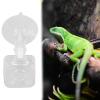 Reptile Feeder Bowl with Suction Cup view 3