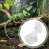 Reptile Feeding Station view 3