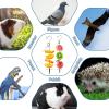 1 x Parrot Fruit Skewer, Stainless Steel Bird Feeder and Cage Toy view 4