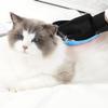 Pet Grooming Brush Gloves for Dogs and Cats, Light Blue view 4