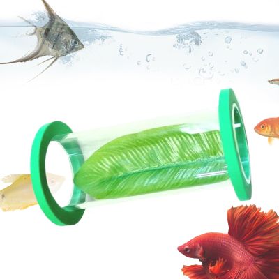 Betta Acrylic Tube - Tunnel for Betta Fish Tank
