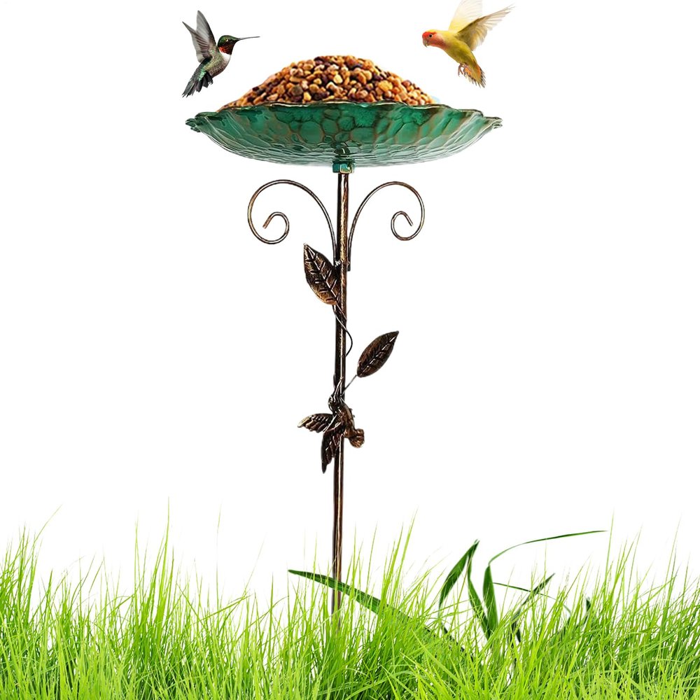 Outdoor Bird Bath and Patio Bird Feeder