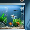 Bexdug Fish Feeder view 2