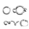 DINHEAROM Parrot Foot Rings, 6-Piece U-Shaped Stainless Steel Rings, Silver, Non-Slip, for Bird Training and Cage Accessories view 3