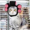 VERDANVERSE Cat Costume Hat for Pets, Funny Soft Headwear for Dogs and Cats view 3