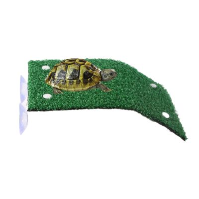 Turtle Basking Dock - Green 1-Pack