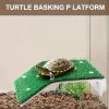 Generic Turtle Basking Dock view 2