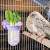 Bird Cage Bowl with Clamp view 3
