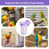Bird Cage Bowl with Clamp view 4