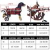 Adjustable Dog Wheelchair for Hind-Leg Mobility Support view 3