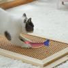 Catnip Dental Toy for Kittens view 4