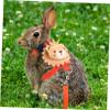 FONDOTIN Adjustable Rabbit Harness with Leash - Orange view 3