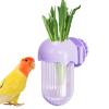 Bird Feeding Bowls with Clamp view 1