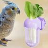 Bird Feeding Bowls with Clamp view 3