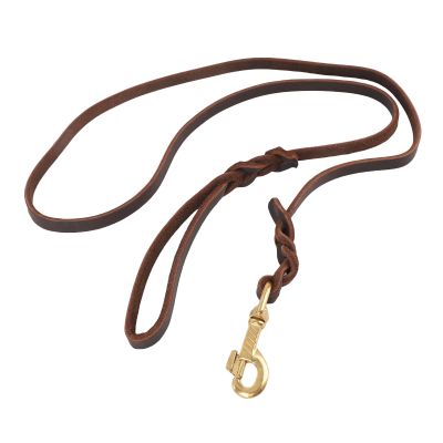 Strong, Soft Faux Leather Dog Leash with Comfortable Grip