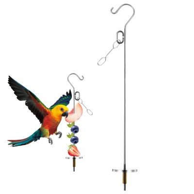 Bird Food Holder | Stainless Steel Skewer for Parrot Treats