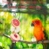 Bird Food Holder | Stainless Steel Skewer for Parrot Treats view 2