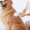 Dog Brush for Shedding - Short Hair Removal Tool view 4