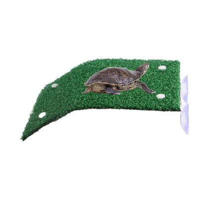 Generic Turtle Sunbathing Platform