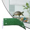 Generic Turtle Sunbathing Platform view 3