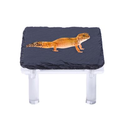 Basking Rock Hideout for Bearded Dragons and Reptiles with Acrylic Stand