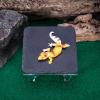 Basking Rock Hideout for Bearded Dragons and Reptiles with Acrylic Stand view 2